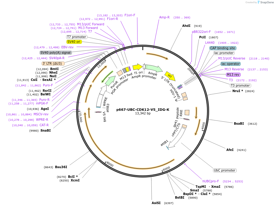 260285_map
