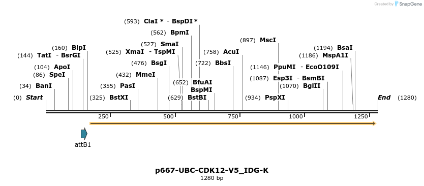 260286_map