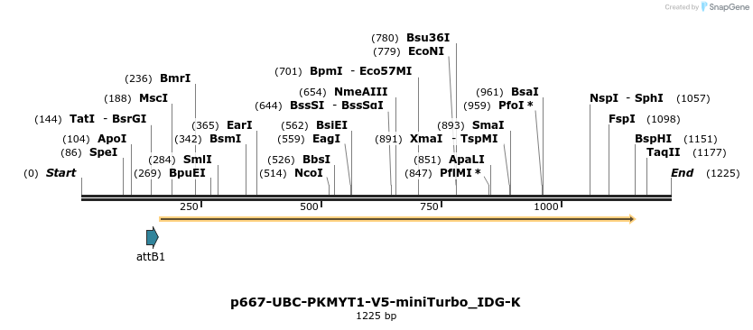 260289_map