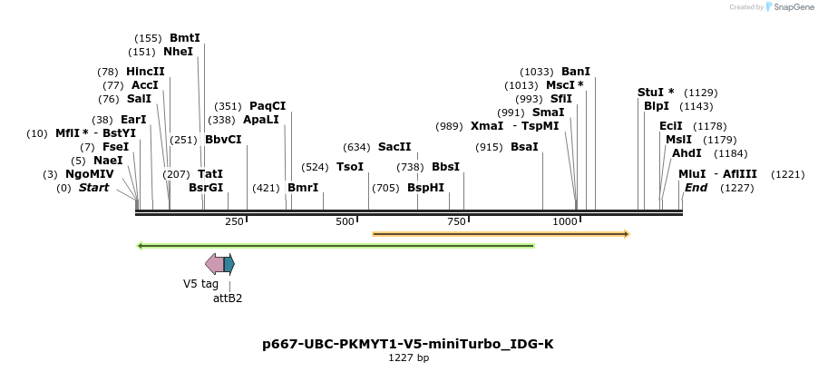 260290_map
