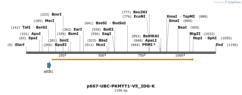 260295_map