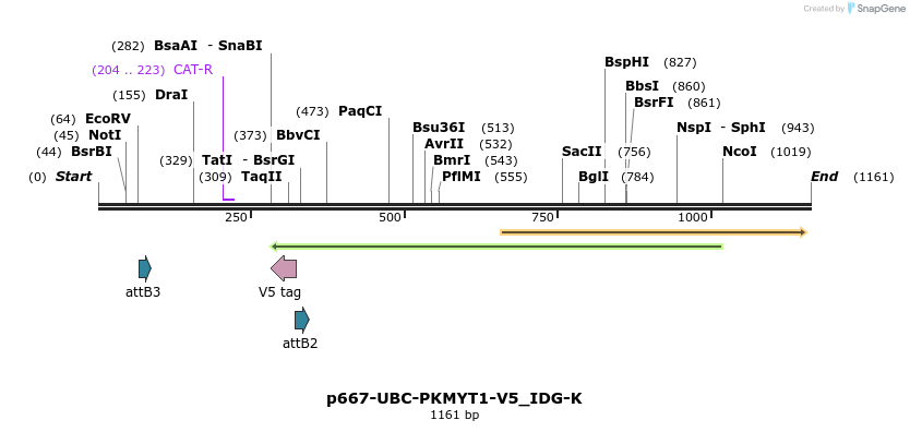 260296_map