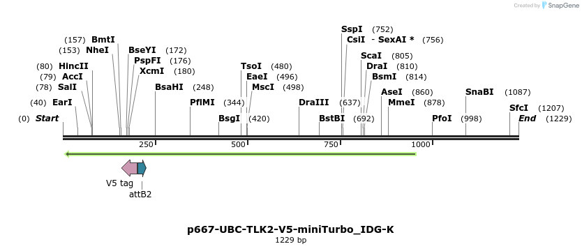 260299_map