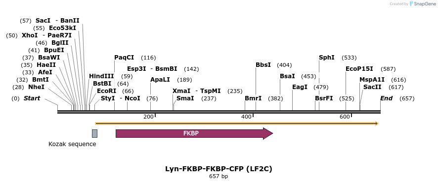 26030_map