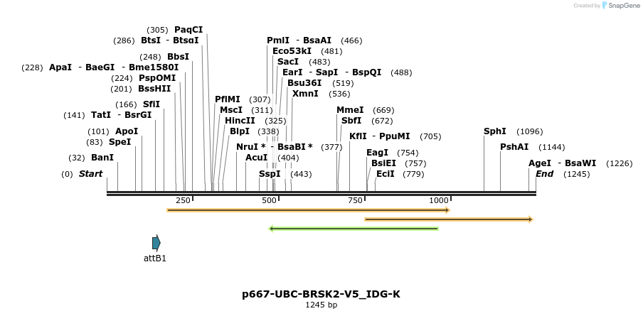 260313_map