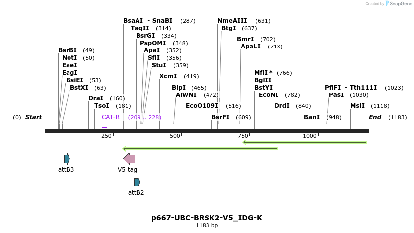 260314_map