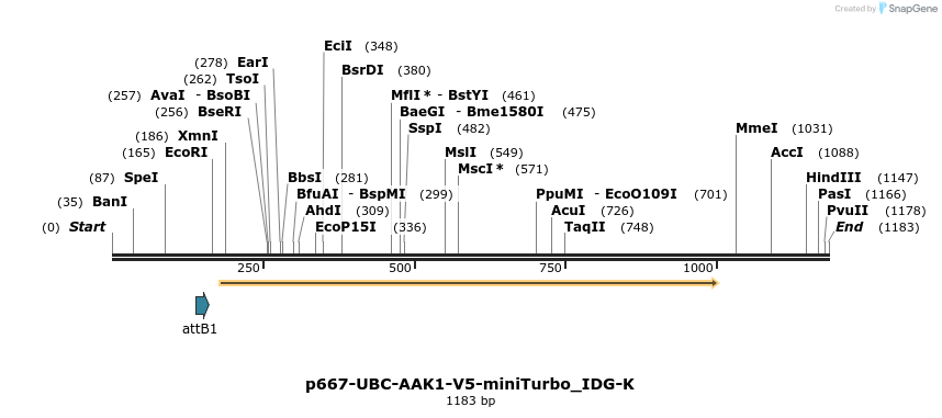 260316_map