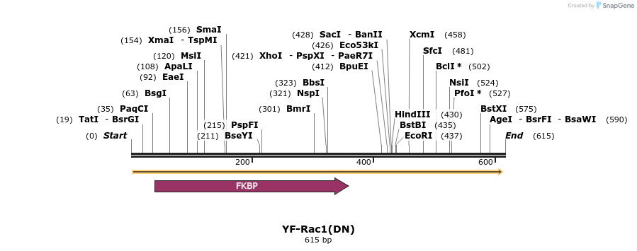 26032_map