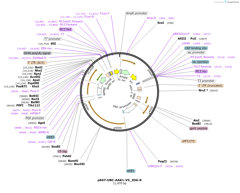 260321_map