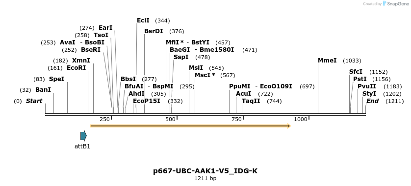 260322_map