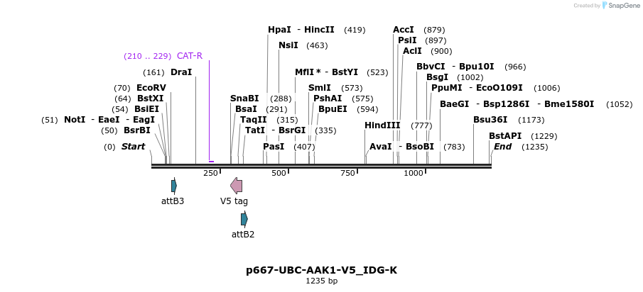 260323_map