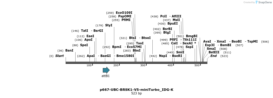 260325_map