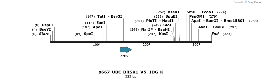 260329_map