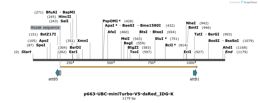 260331_map