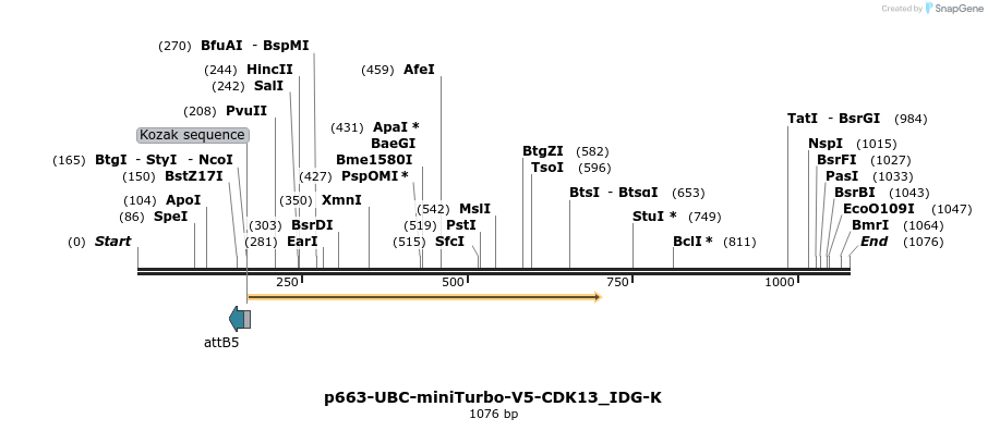 260349_map