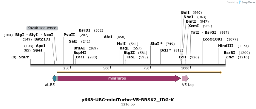260364_map