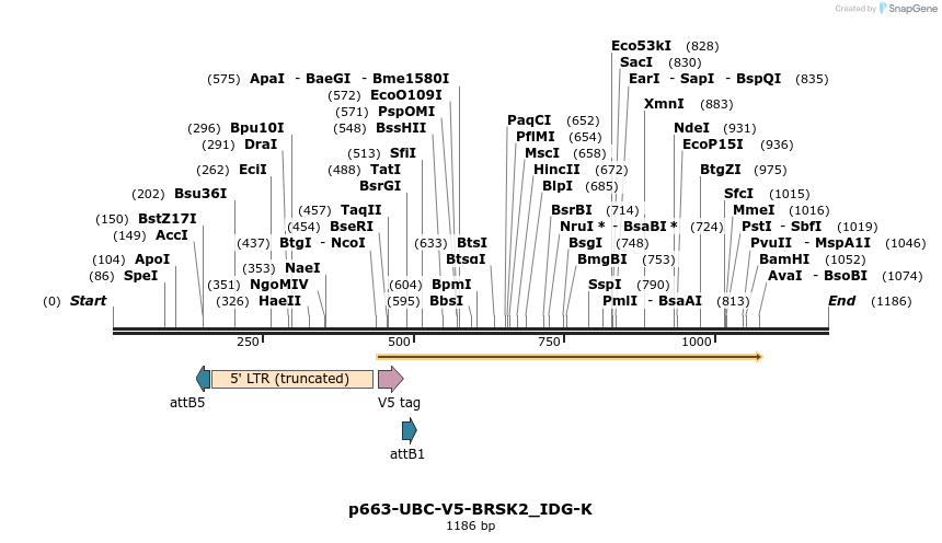 260370_map