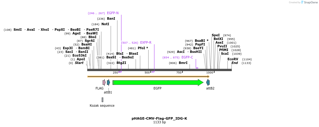 260376_map
