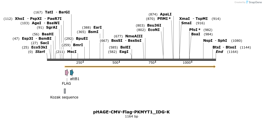 260382_map