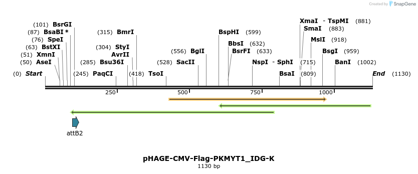 260383_map
