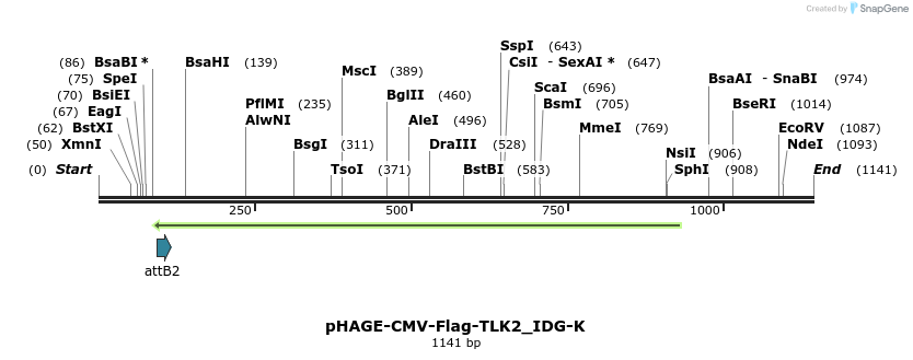 260386_map