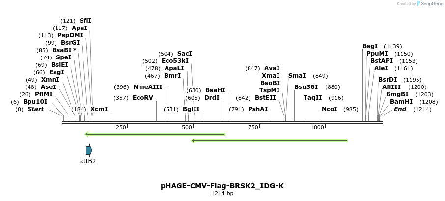 260389_map