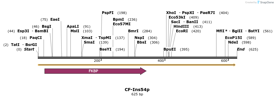 26039_map
