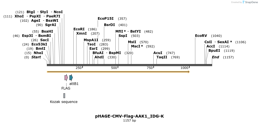 260391_map