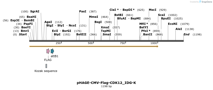 260394_map
