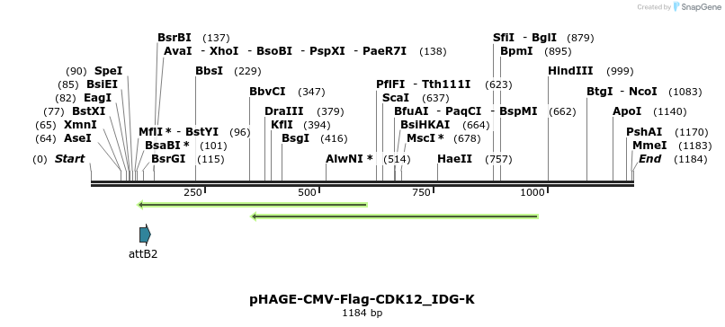 260395_map
