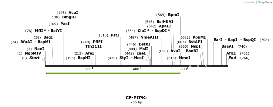26044_map