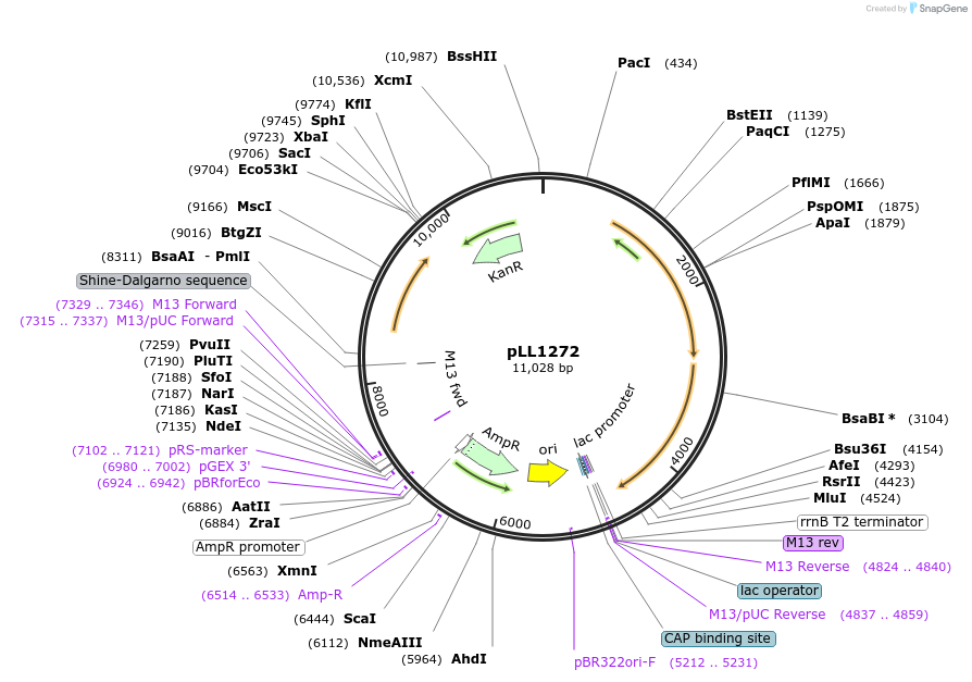 260451_map