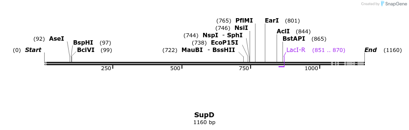 260458_map