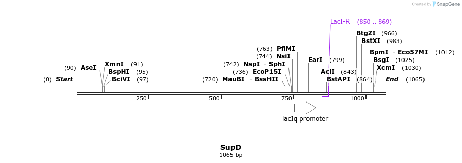 260460_map