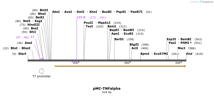 26053_map