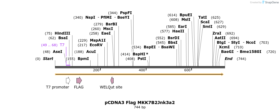 26058_map