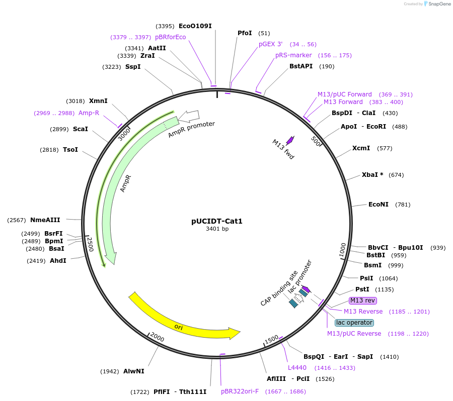 260601_map