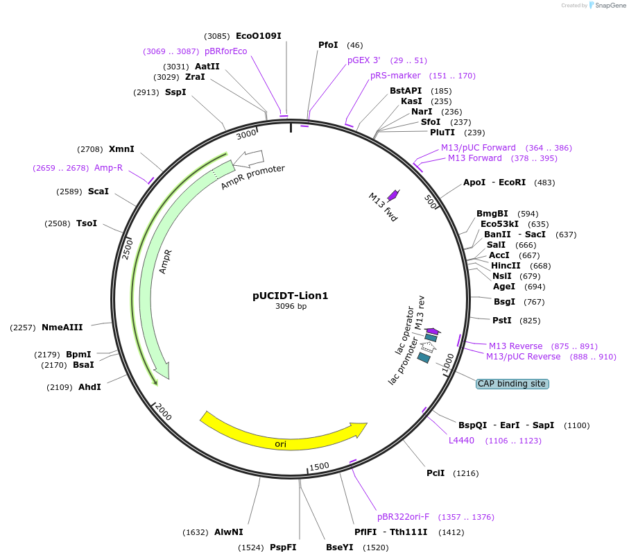 260605_map