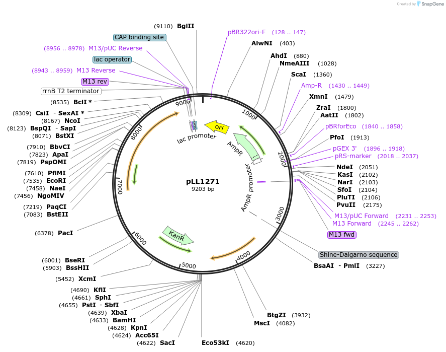 260608_map