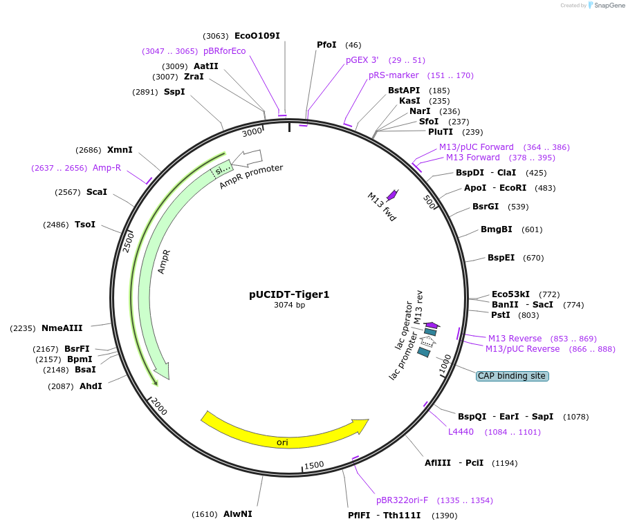 260609_map