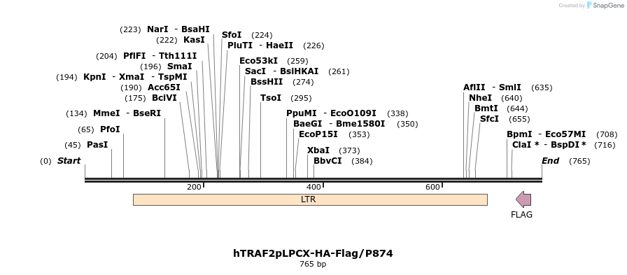 26064_map