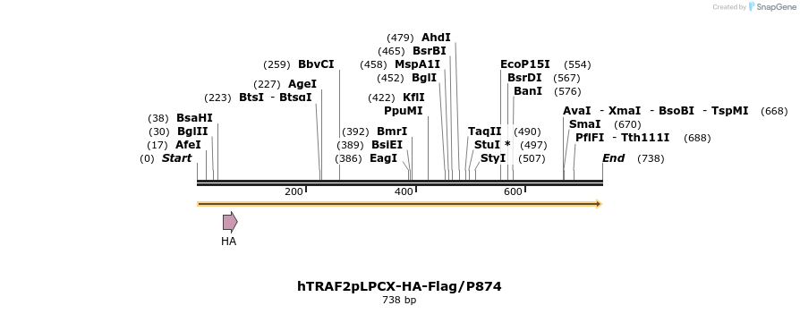 26065_map