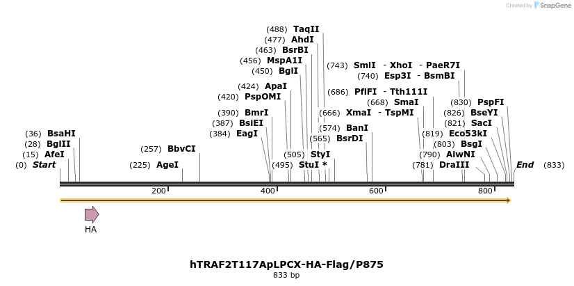 26067_map