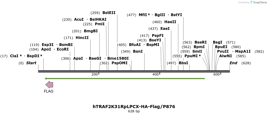 26068_map