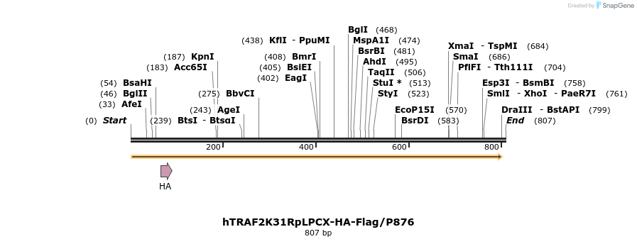 26069_map