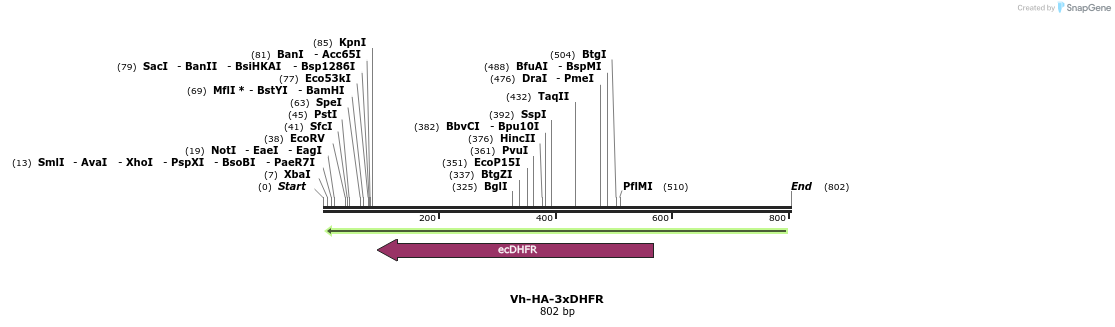 26073_map