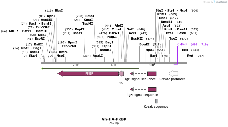 26074_map