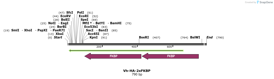 26075_map