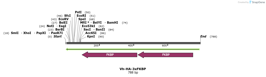26076_map