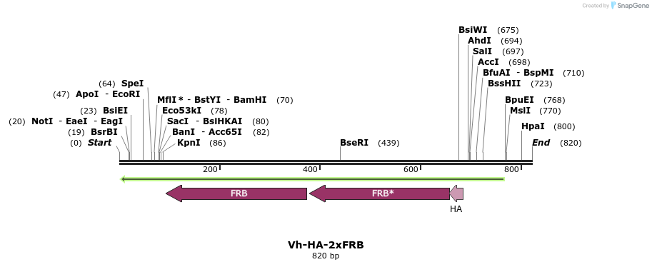 26078_map